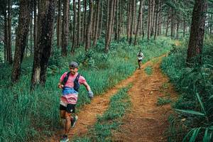 BIB: 
                            <button type="button" onclick="openModal(25652720)" class="btn btn-primary btn-sm float-right btn-popup" data-toggle="modal" data-target=".modal-high-quality">
                        <i class="fas fa-shopping-cart"></i> Add to Cart
                    </button>
                                            <button type="button" onclick="isThisMe(25652720, true)" class="btn btn-success btn-sm float-right btn-popup btn-isme hidden" data-toggle="tooltip" data-placement="bottom" title="นี่คือรูปของคุณใช่ไหม คลิกที่นี่เพื่อเอาเข้าอัลบั้ม">
                        <i class="fas fa-plus"></i> Add to album
                    </button>
                    <button type="button" onclick="isThisMe(25652720, false)" class="btn btn-warning btn-sm float-right btn-popup btn-isnotme hidden">
                        <i class="fas fa-ban"></i> Remove from album
                    </button>